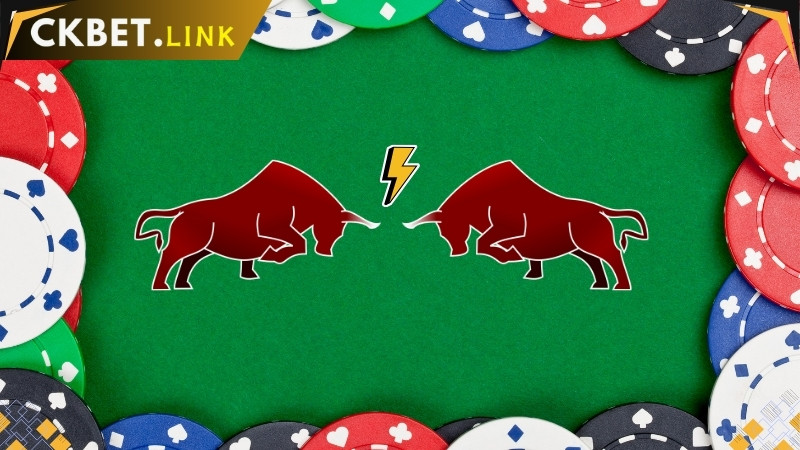 Experiência jogando Super Bull CKBET